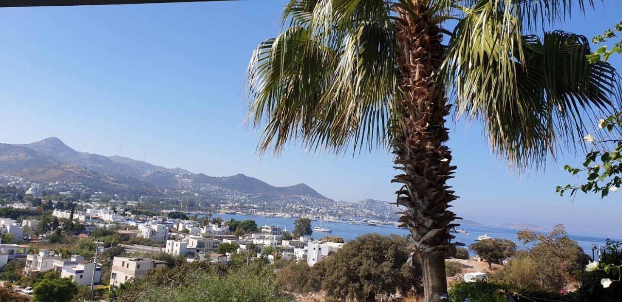 Villa Cosy Yalıkavak Buitenkant foto