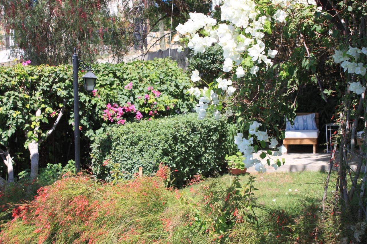 Villa Cosy Yalıkavak Buitenkant foto